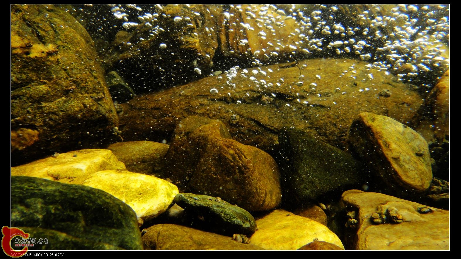 溪流水下2.jpg