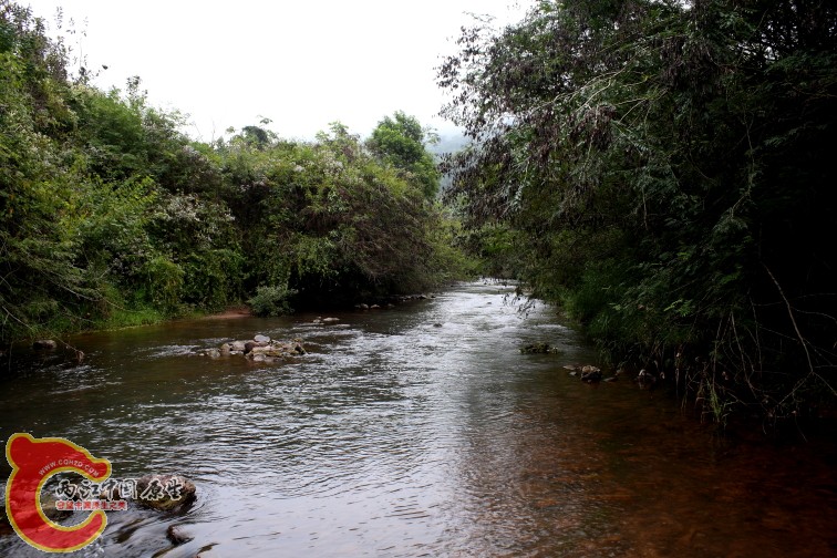 保护区内河流