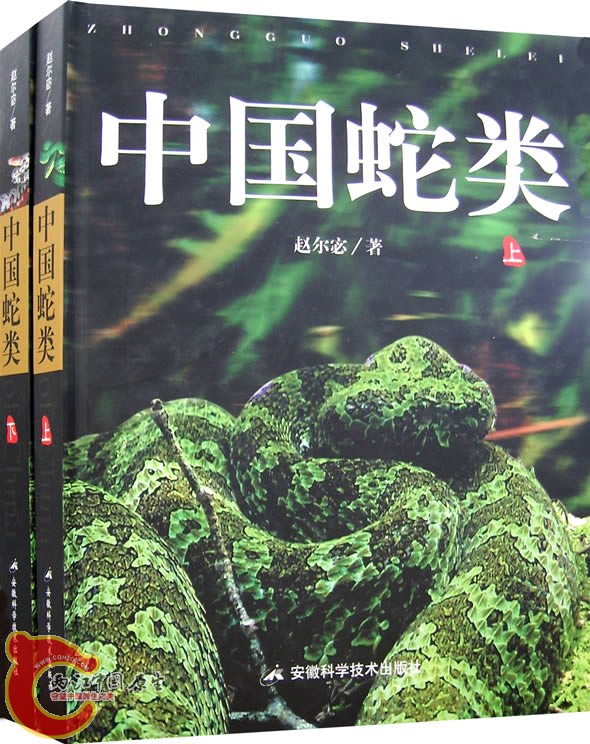 中国蛇类.jpg