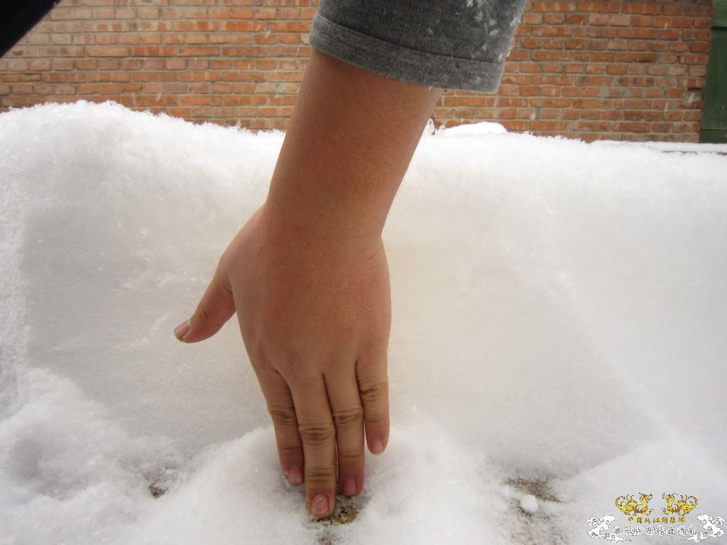 记录2010年1月3日  大雪