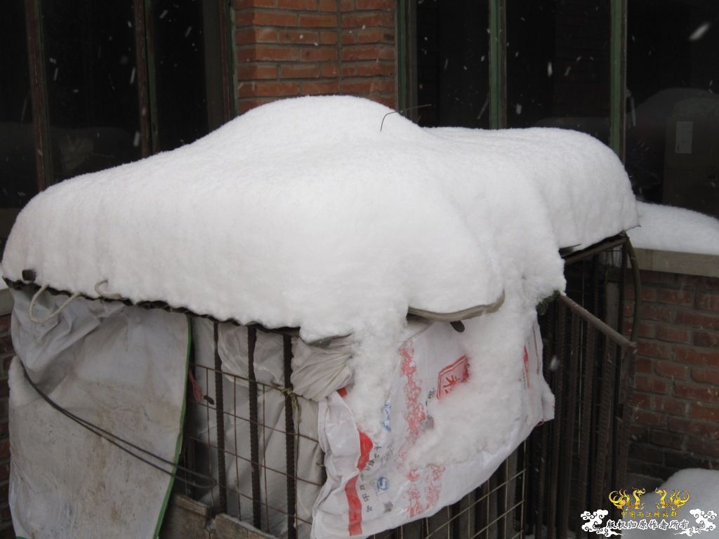 记录2010年1月3日  大雪