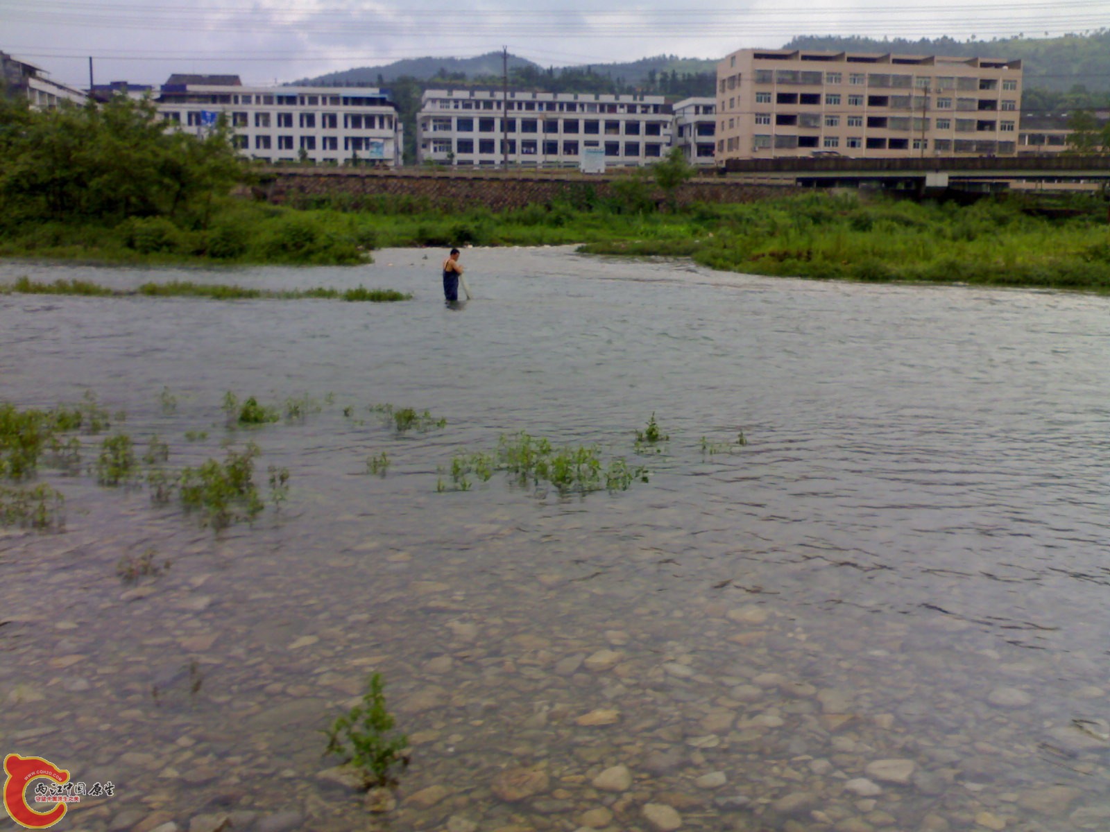 20110717805.jpg