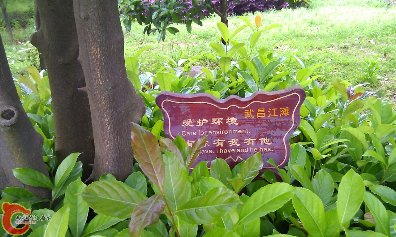 20120429-1054.jpg