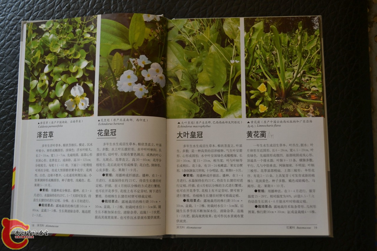 201105142125.jpg