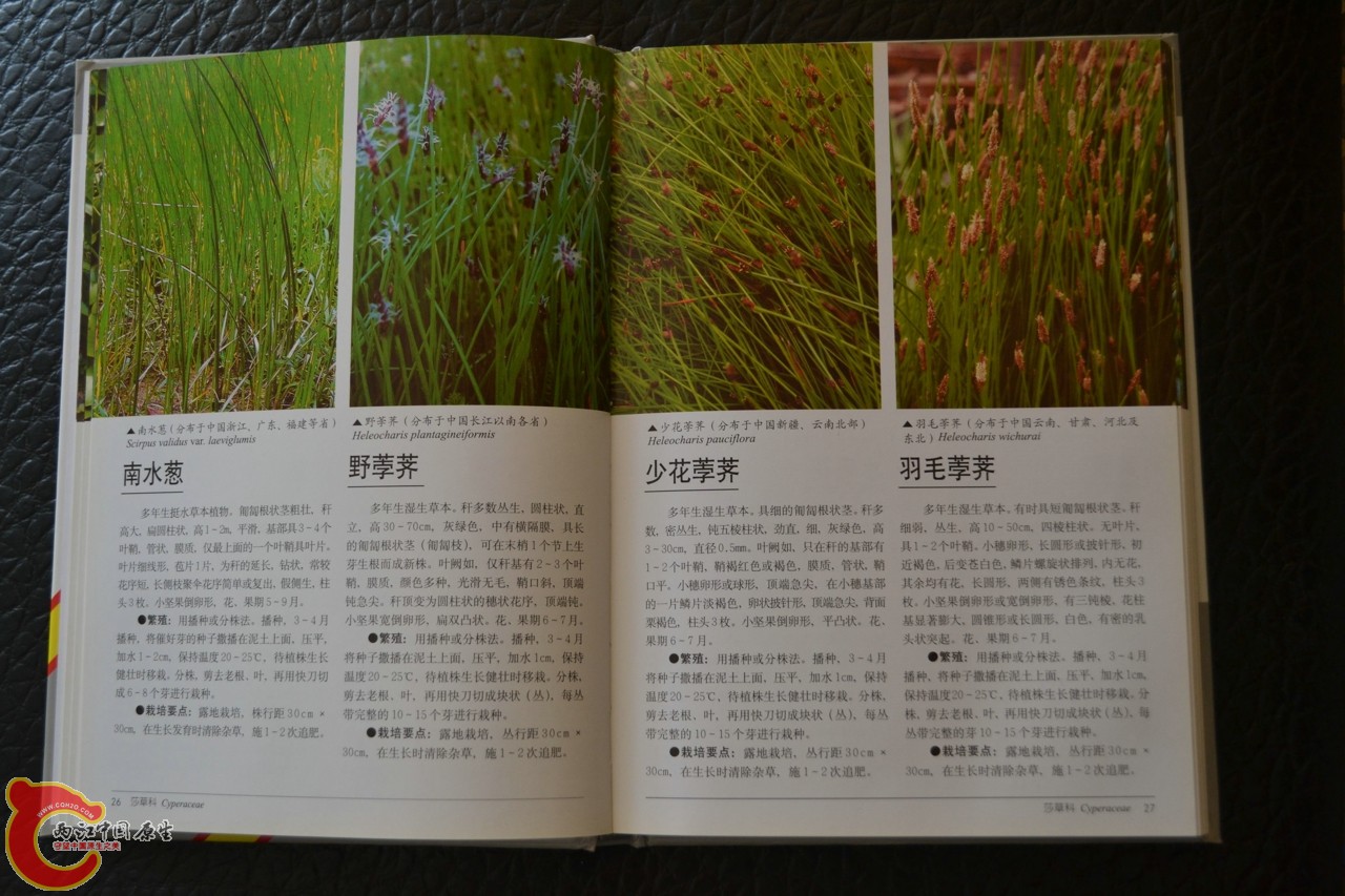 201105142129.jpg