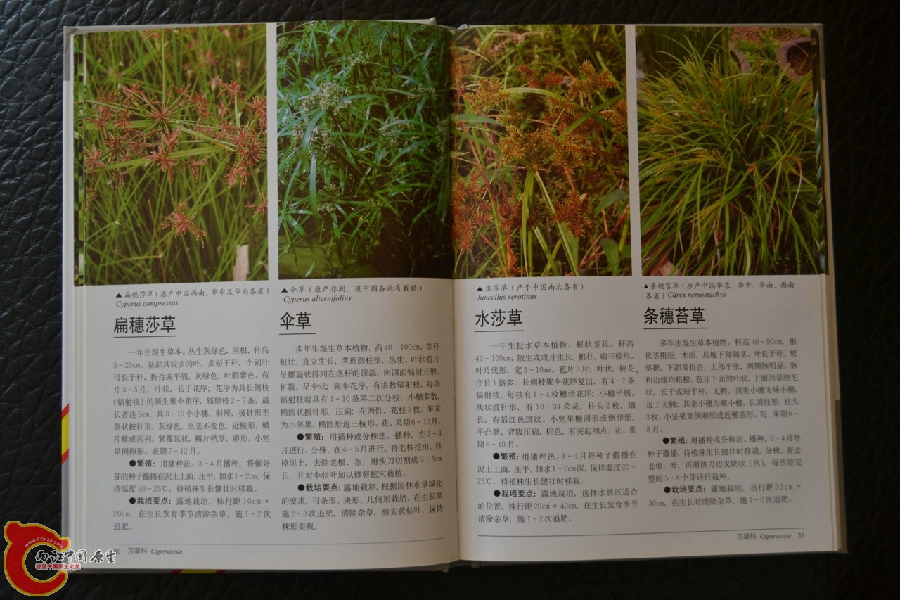 201105142131.jpg