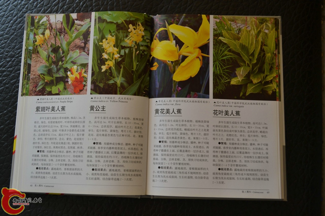 201105142140.jpg