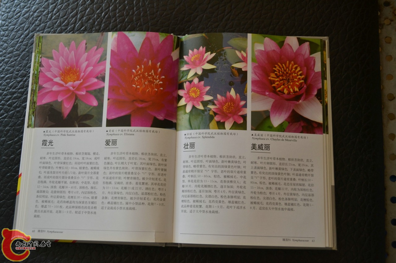 201105142146.jpg