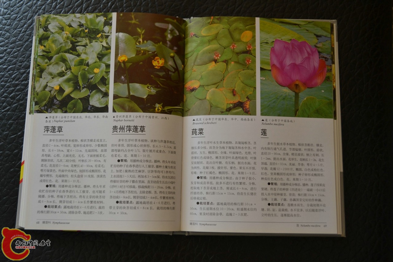 201105142150.jpg