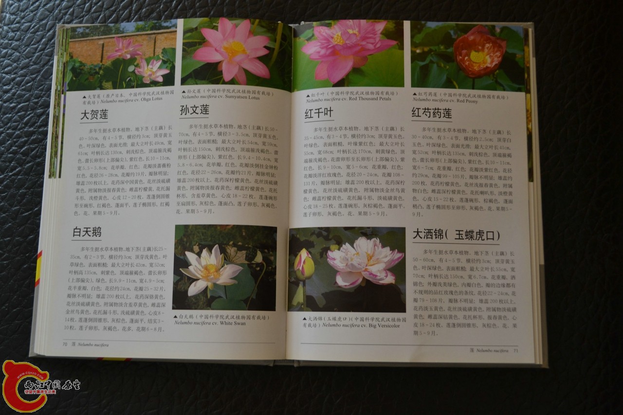 201105142151.jpg