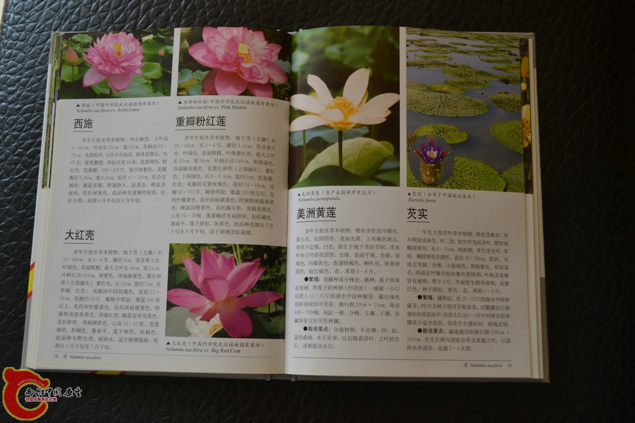 201105142155.jpg