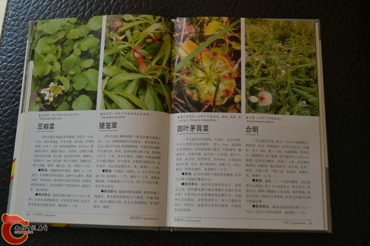 201105142158.jpg