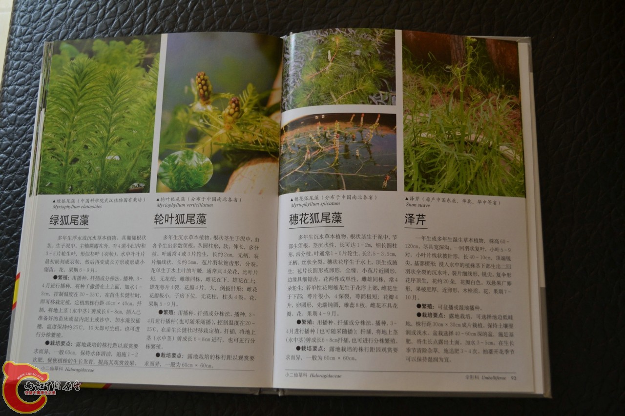 201105142162.jpg