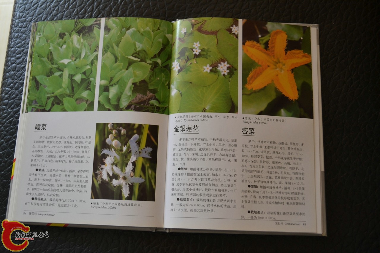 201105142163.jpg