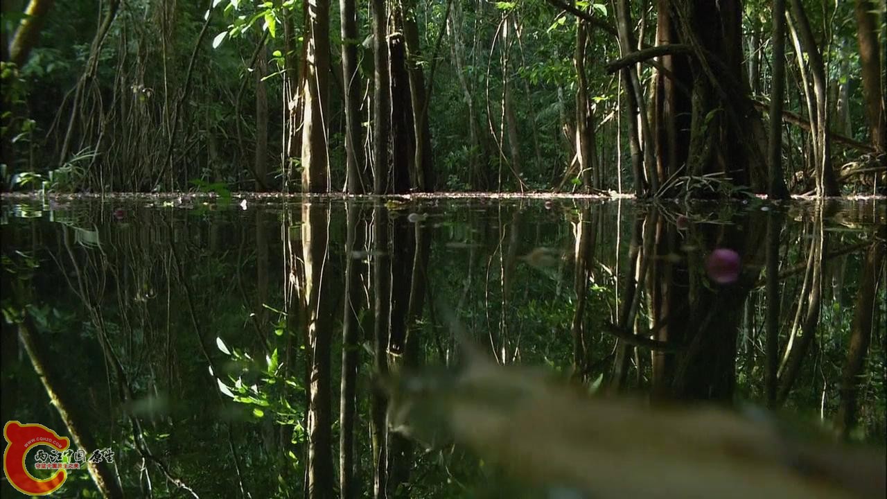 [亚马逊：太阳河].Discovery.HD-The.Amazon.River.of.the.Sun.Blu-ray.720p.x264.DD51.jpg