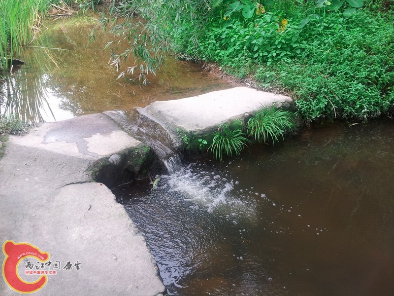 20120909_143116.jpg