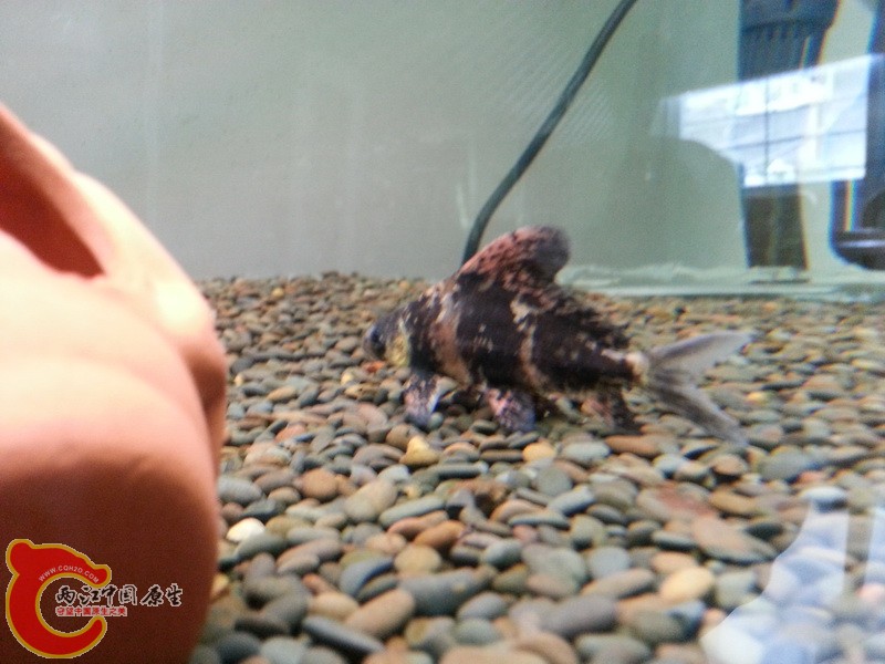 20121116_142105_调整大小.jpg