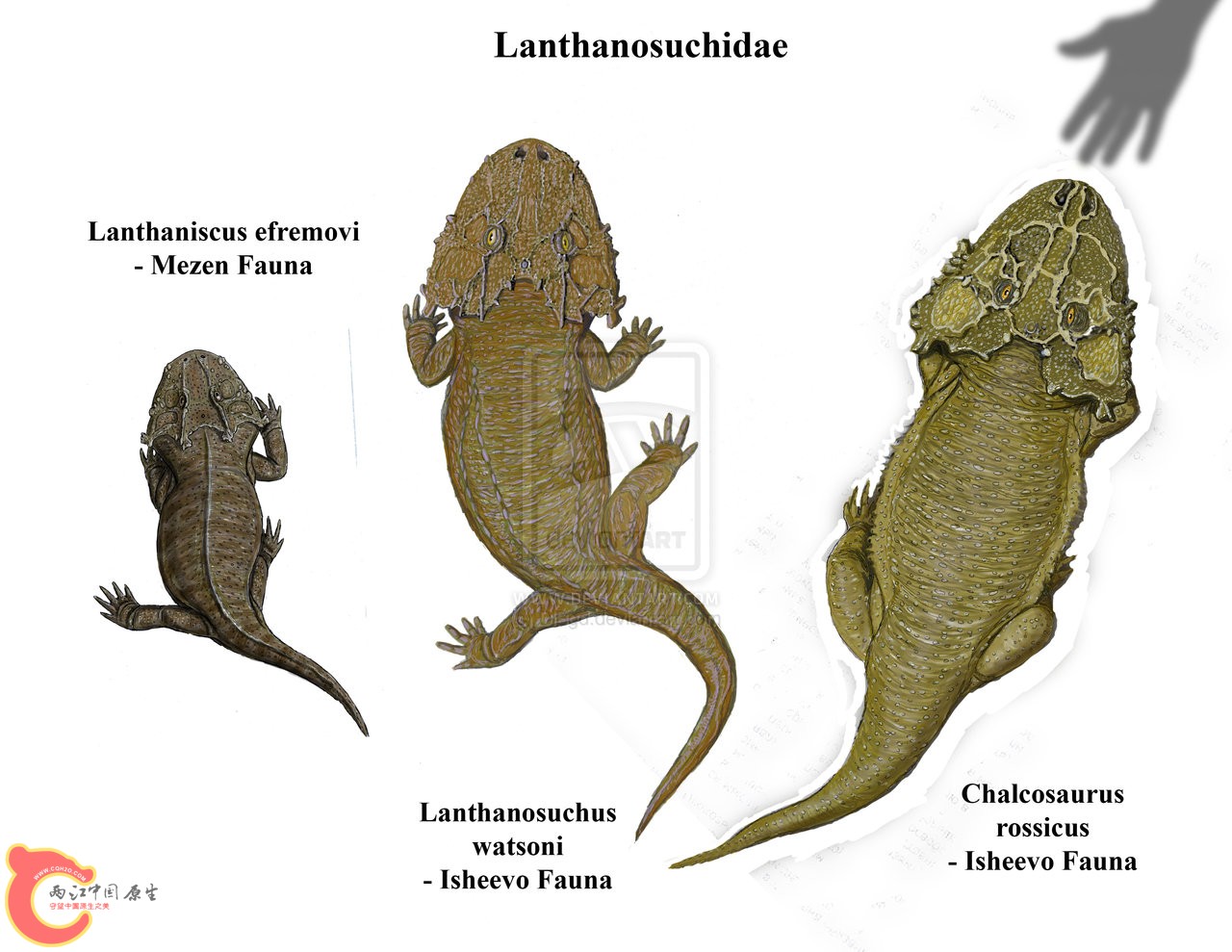 lanthanosuchidae_by_dibgd-d4vfe7n.jpg