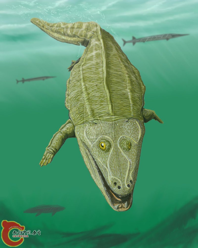 Mastodonsaurus_giganteus.jpg