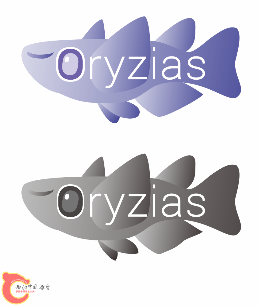 Oryzias.png