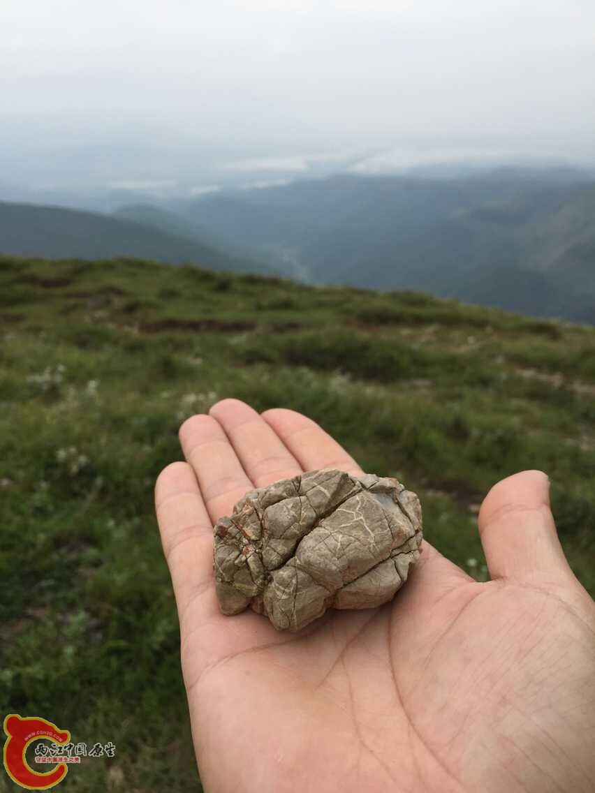 登上捡到的石头，有型