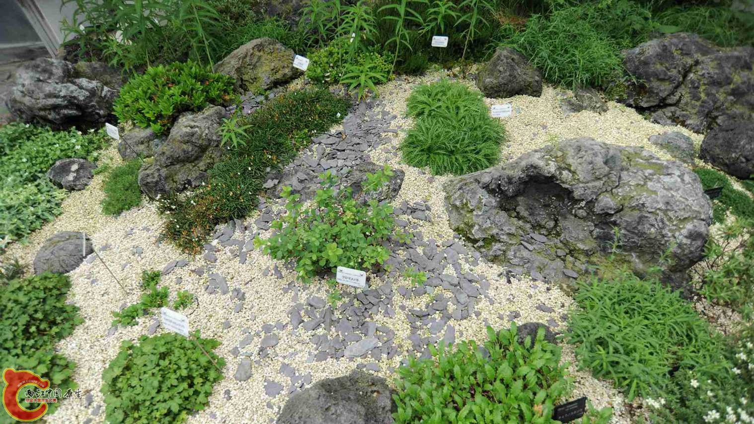 高山植物区