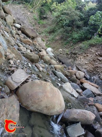 原棲息地在夏天被大水已經翻過了