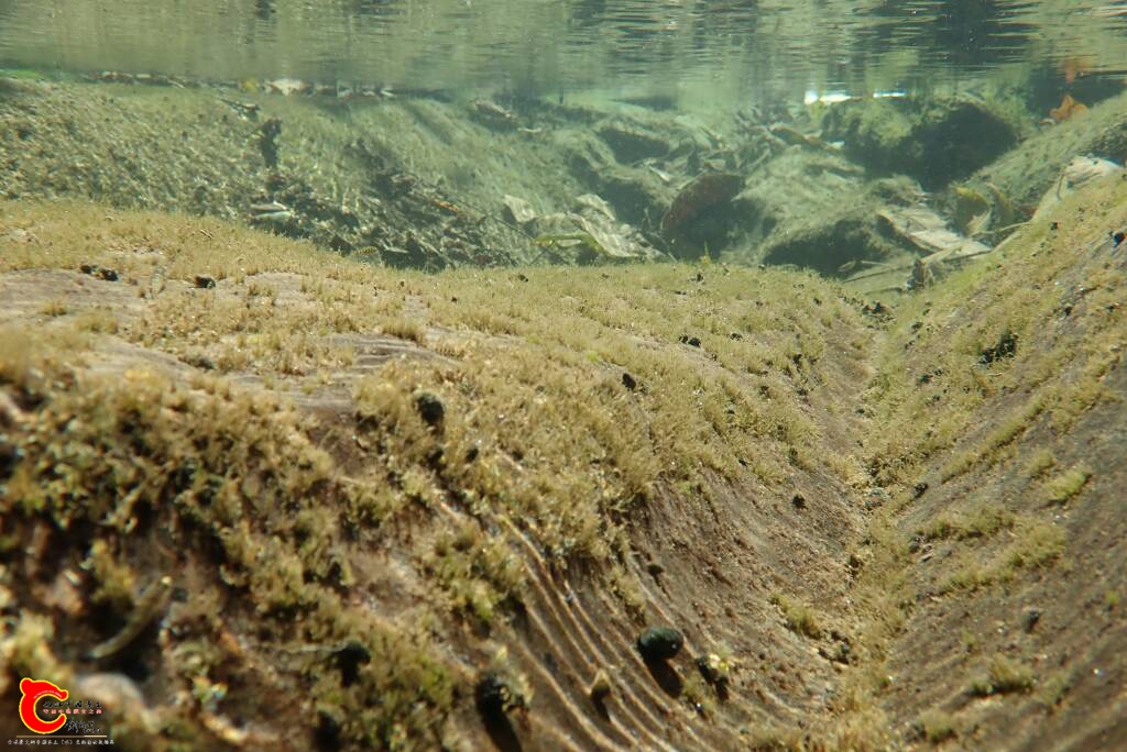 叠溪海子水底图片