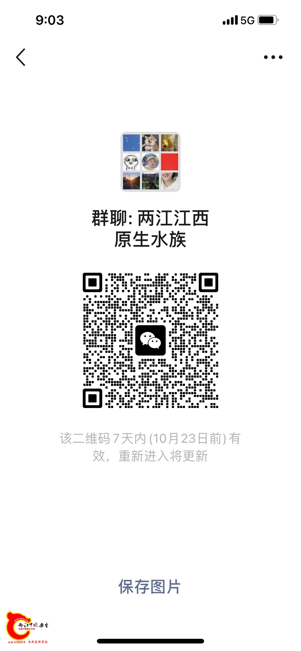 wechat_upload1729040619670f10eb056ba