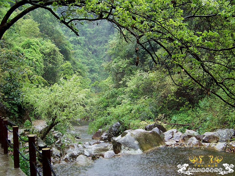 雨中游岭南三溪