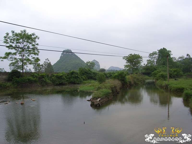 一个新地点(好多不认识的小鱼)