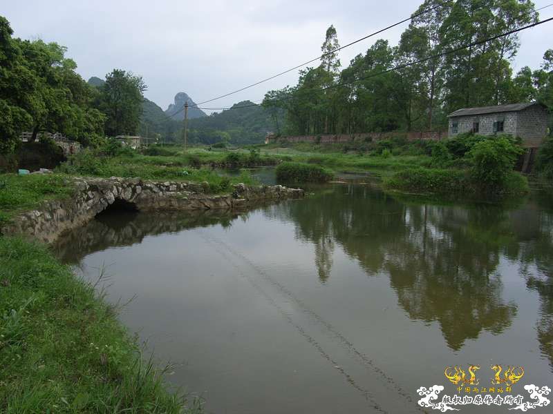 一个新地点(好多不认识的小鱼)