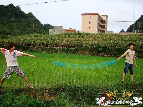 7月19-20日的野采日记（选自：红棉树巴盖日记）