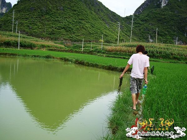 7月19-20日的野采日记（选自：红棉树巴盖日记）