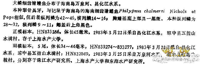[求助]海南新沙塘鳢 Neodontobutis hainanensis (Chen，1985)