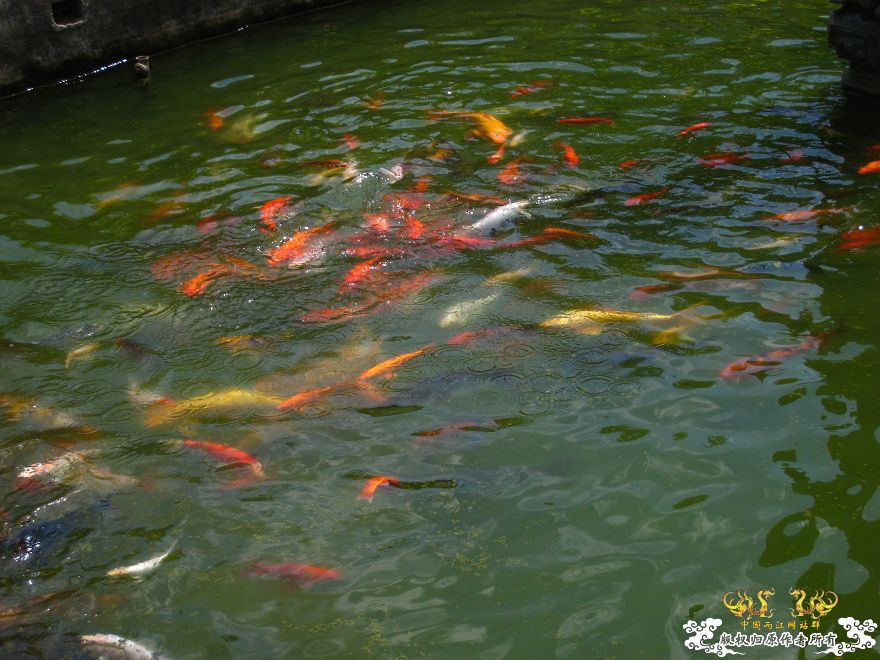 潮州淡浮寺