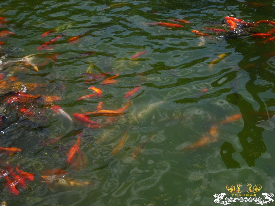 潮州淡浮寺