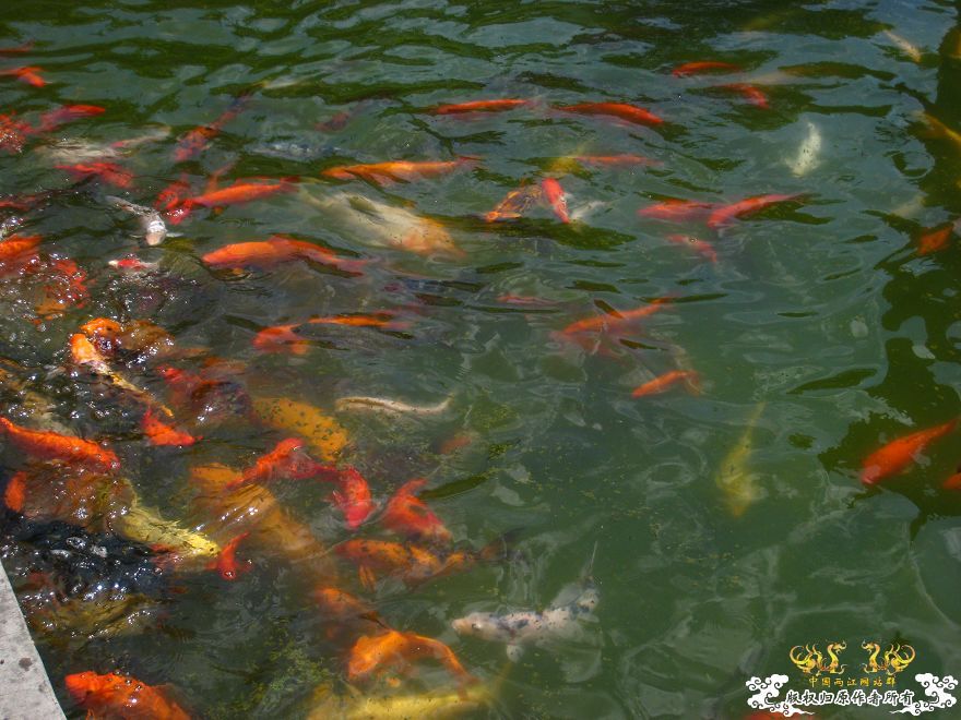 潮州淡浮寺