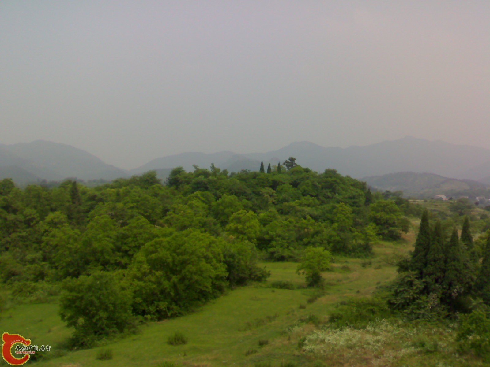 201006061497.jpg