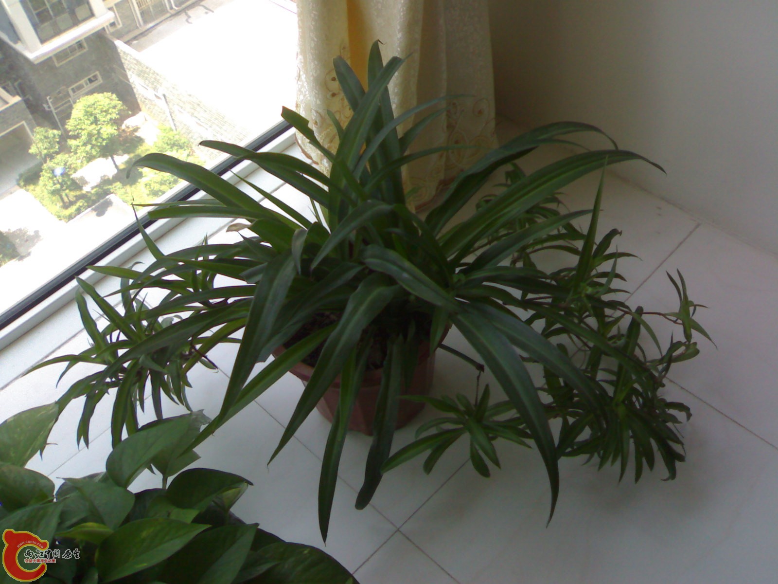 201006301798.jpg