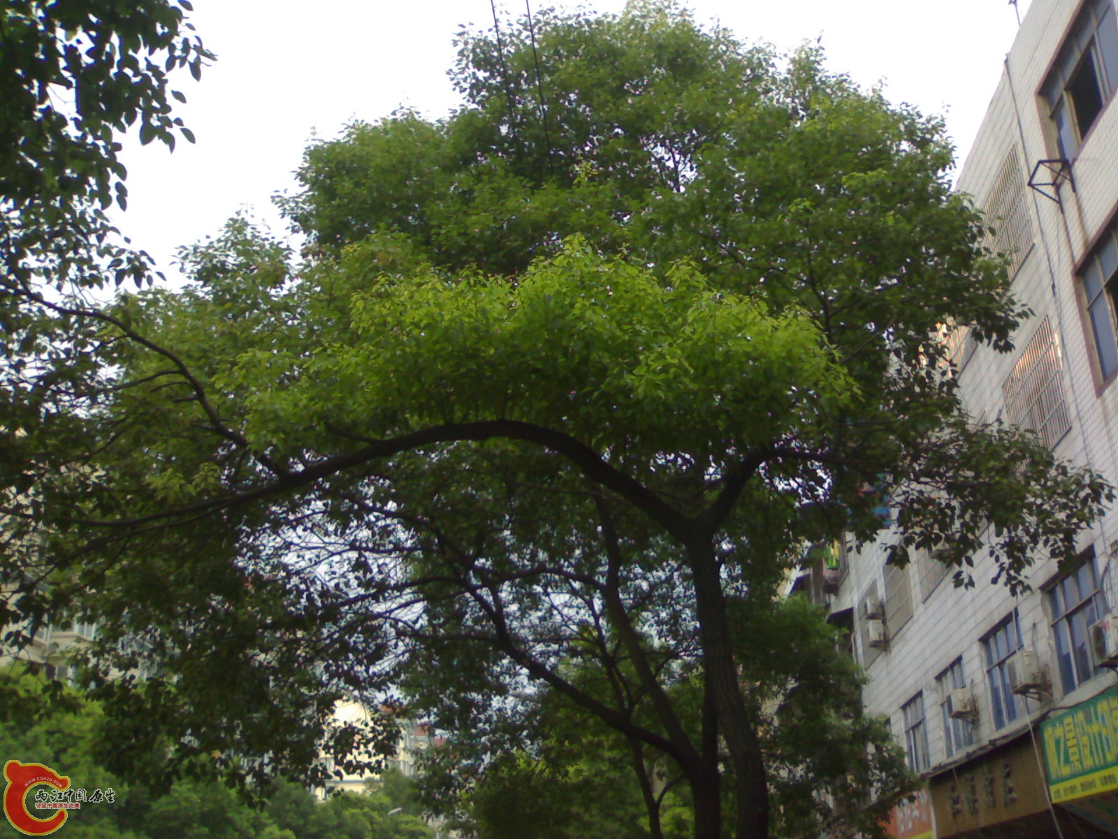 20100902593.jpg