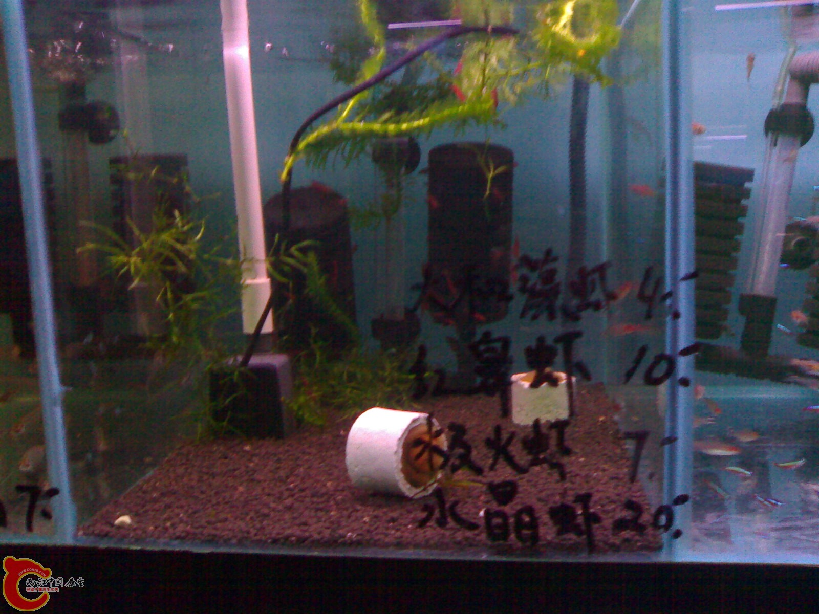 201101151762.jpg